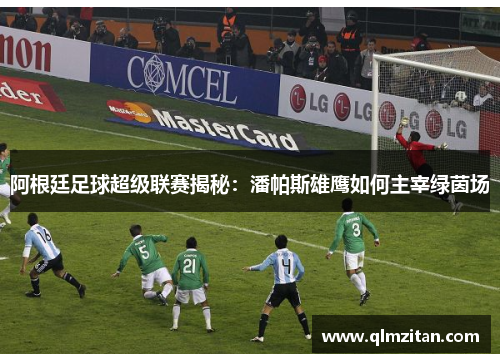 阿根廷足球超级联赛揭秘：潘帕斯雄鹰如何主宰绿茵场