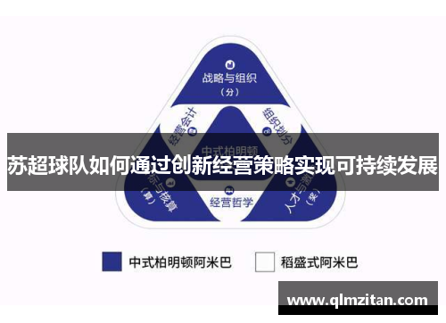 苏超球队如何通过创新经营策略实现可持续发展
